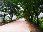 乡村公路