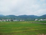 田园风光