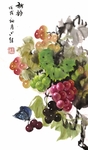 肖葡萄