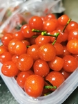 樱桃