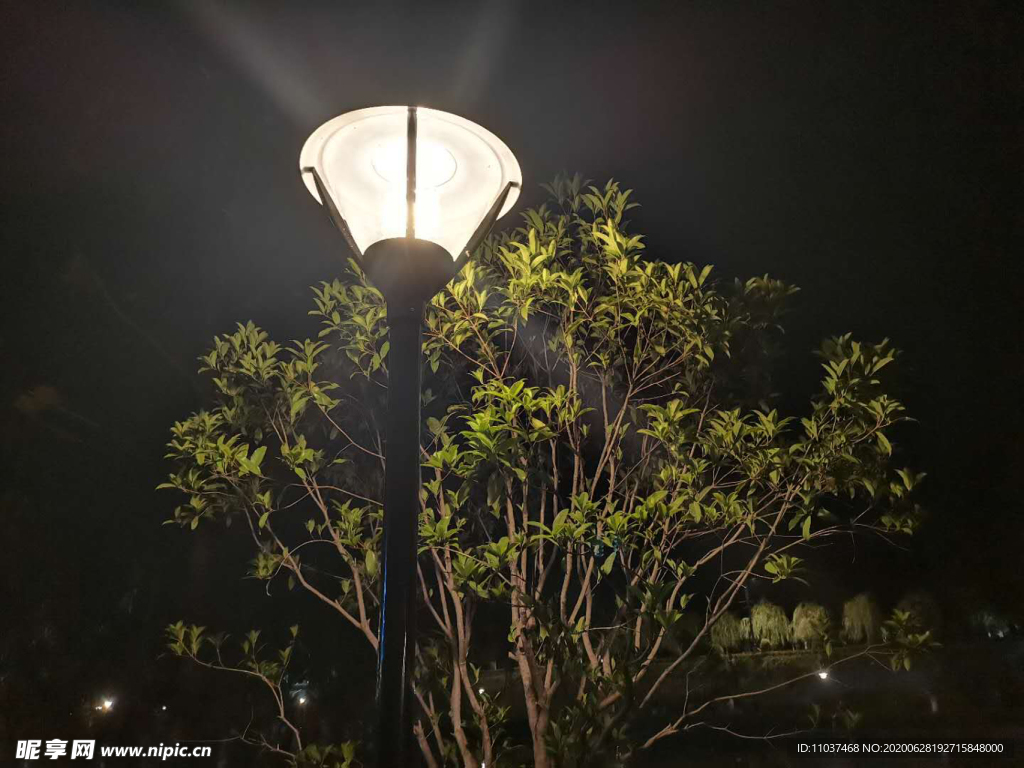 夜景