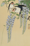 燕子