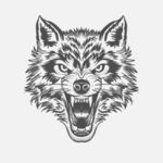 狼头线描矢量