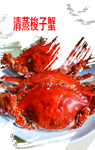 清蒸蟹