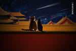 墙头的猫