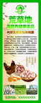 健康营养鸡蛋展架