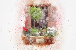 插画花