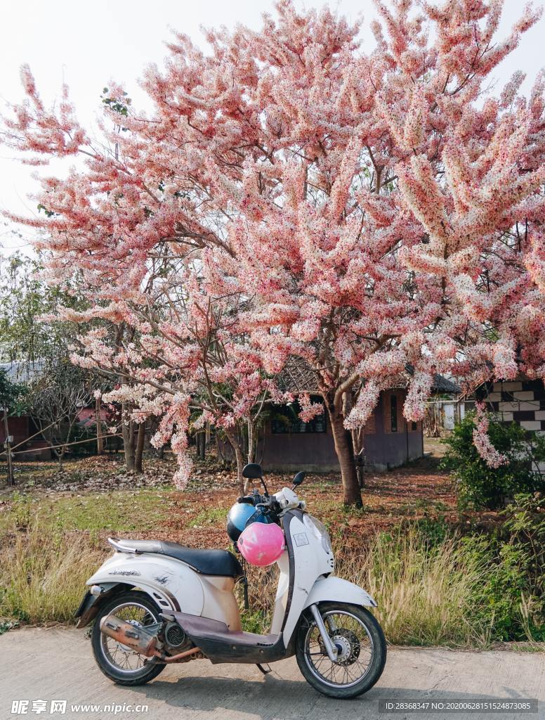 电动车