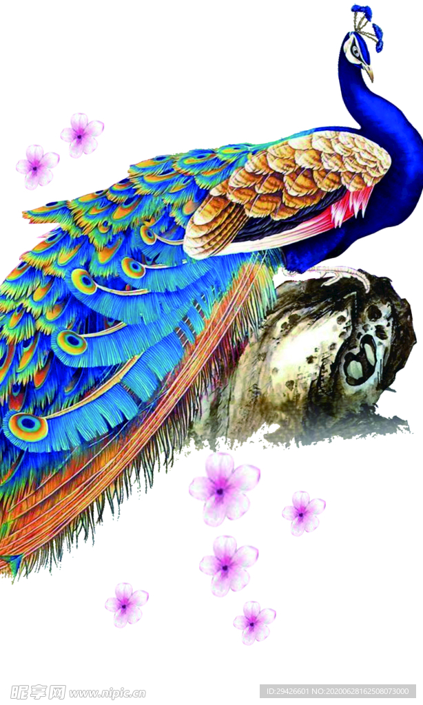 手绘孔雀