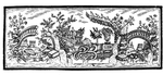 花纹边框