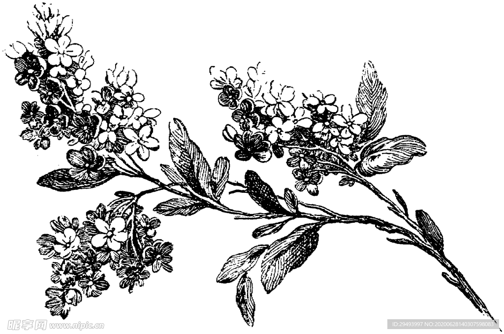 花纹边框