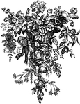 花纹边框