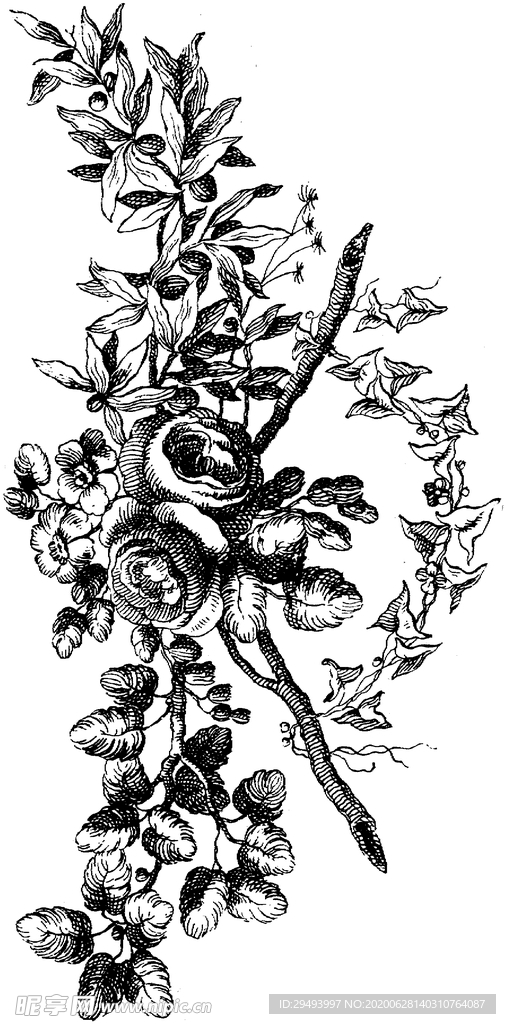 花纹边框
