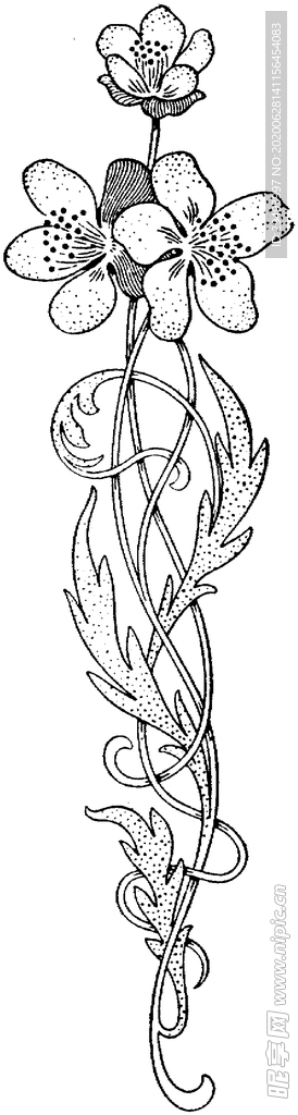 花纹边框