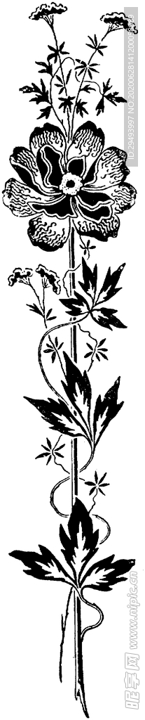 花纹边框