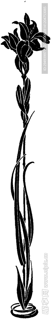 花纹边框