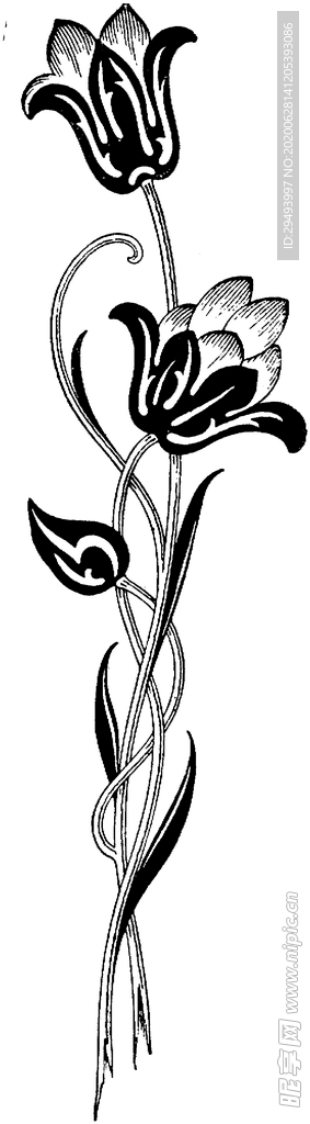 花纹边框