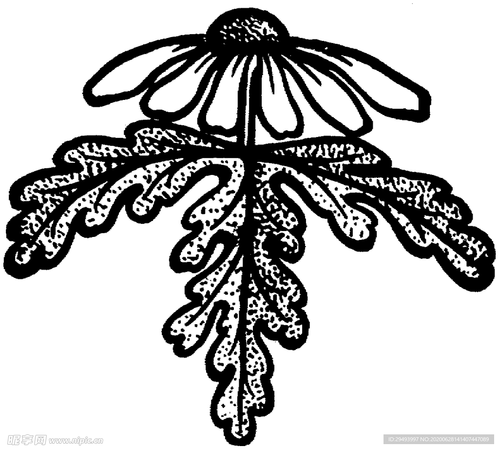 花纹边框