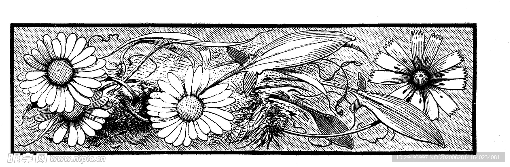 花纹边框