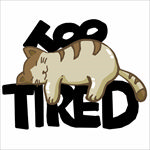 小猫