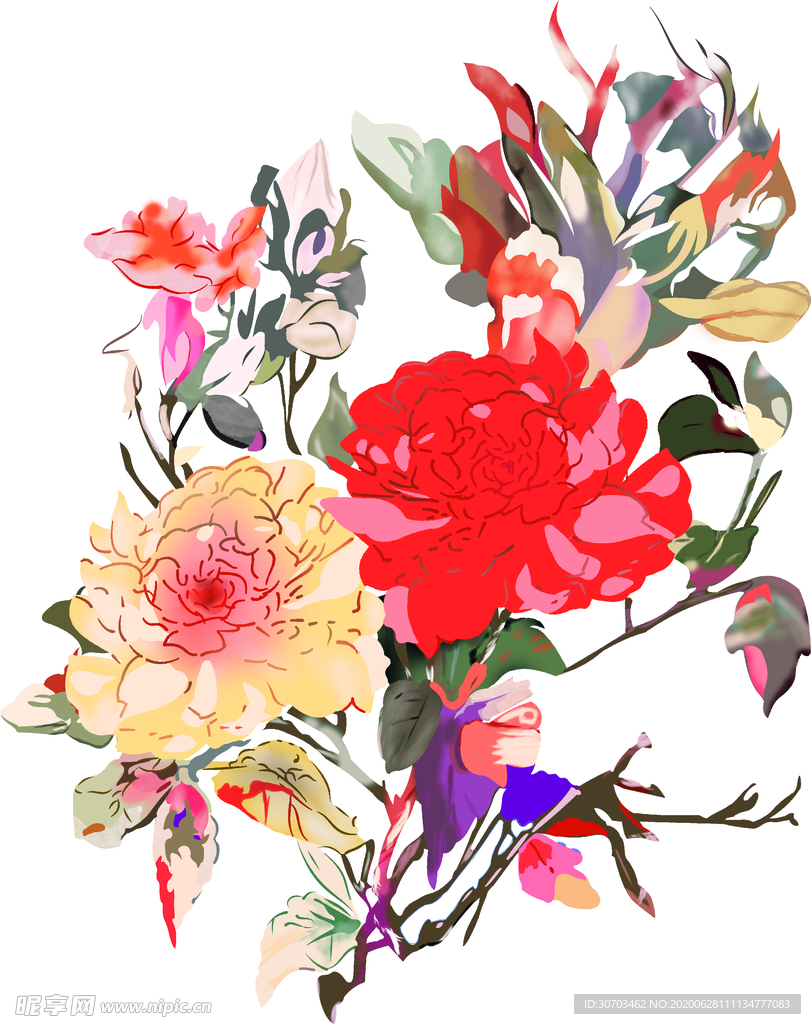 牡丹花