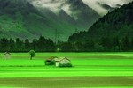 山脉 草地 树林