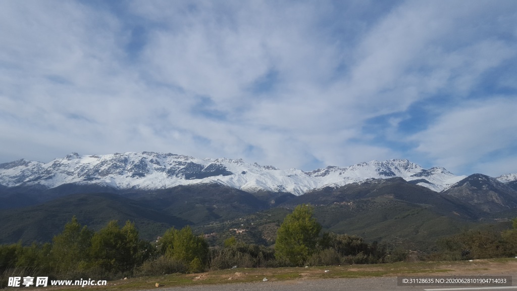 雪山 树林