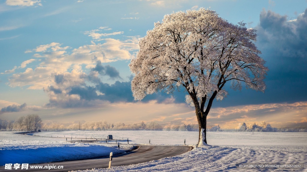 天空 树木 雪地