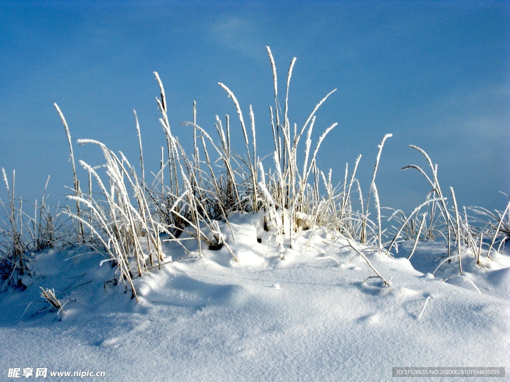 雪地
