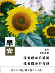早安