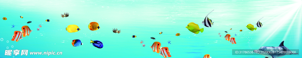 海洋鱼群