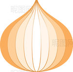 洋葱
