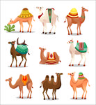 卡通骆驼素材
