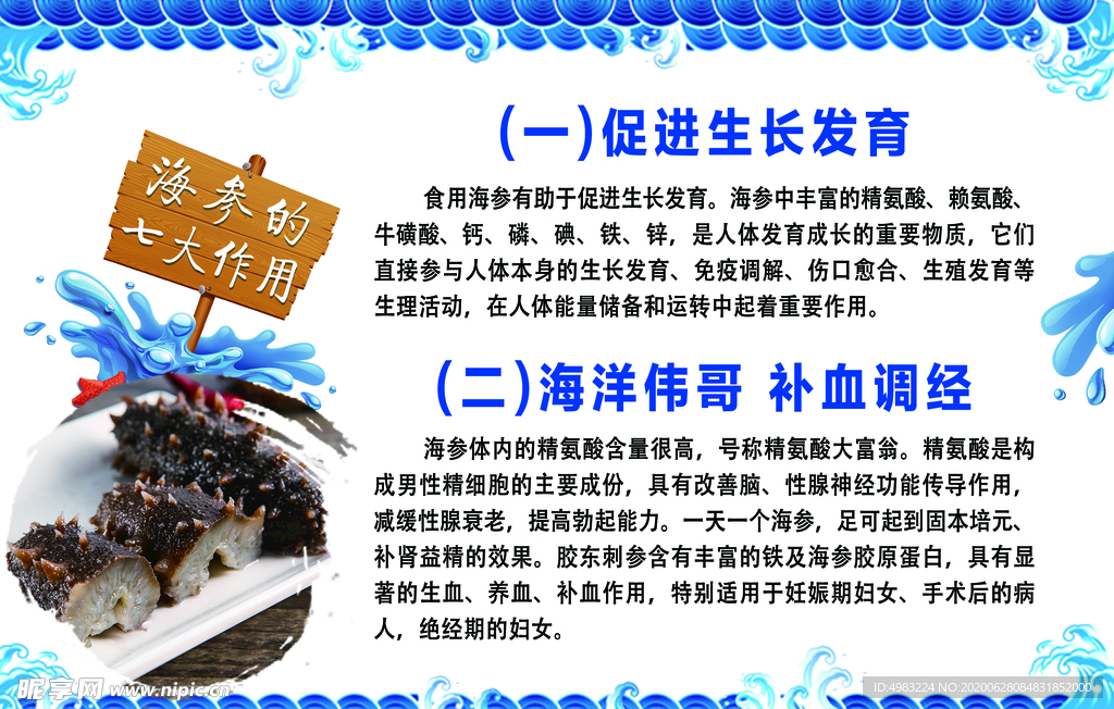 海参营养成分高清