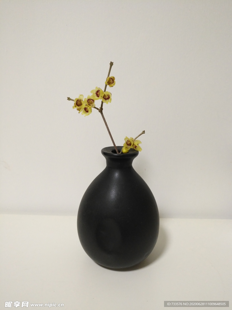 中式插花艺术腊梅陶瓷花瓶暗香