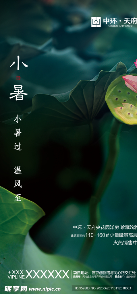 小暑微信