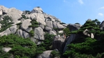 天柱山风光岩缝出青松