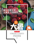 大暑海报 大暑素材 小暑素材