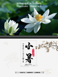 小暑海报 小暑素材 大暑素材