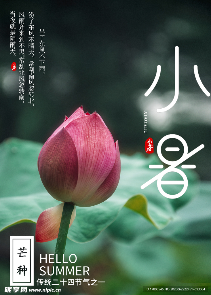 小暑海报 小暑素材 大暑素材