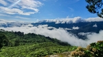 唯美风景