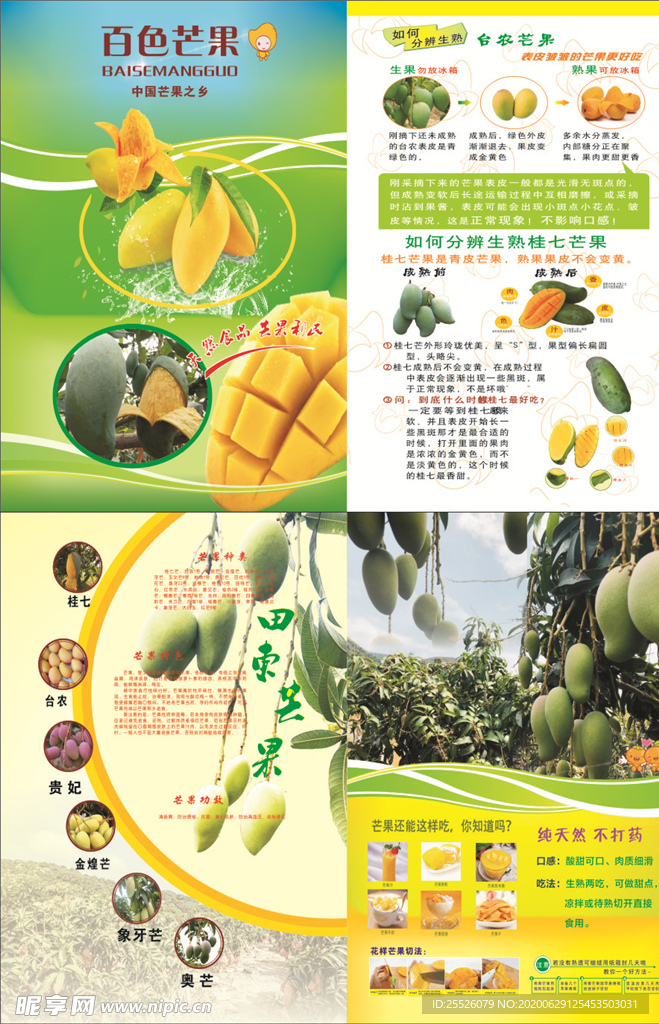 芒果宣传单