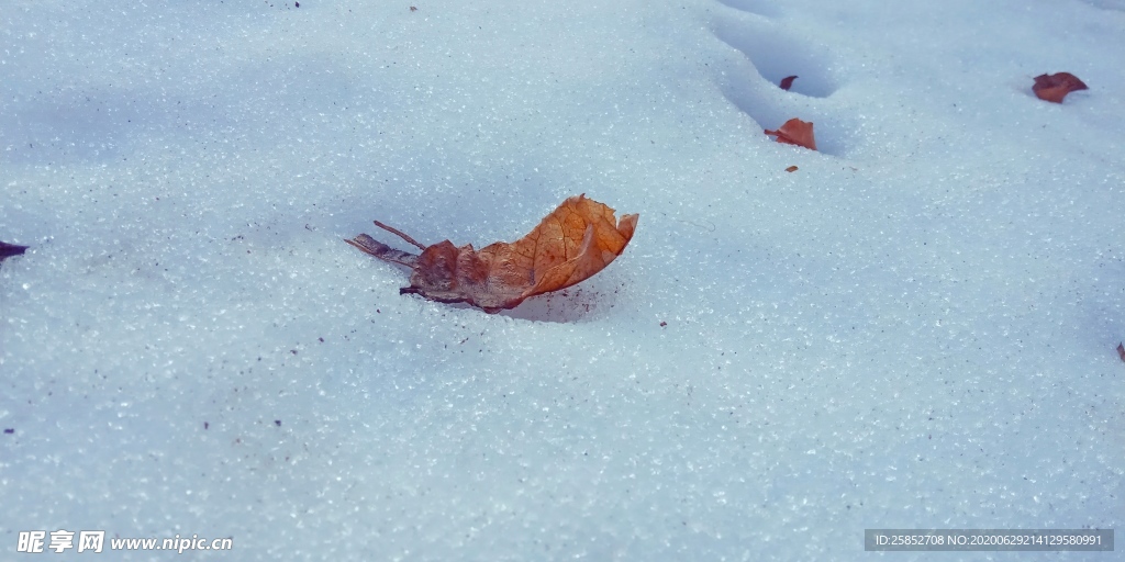 雪