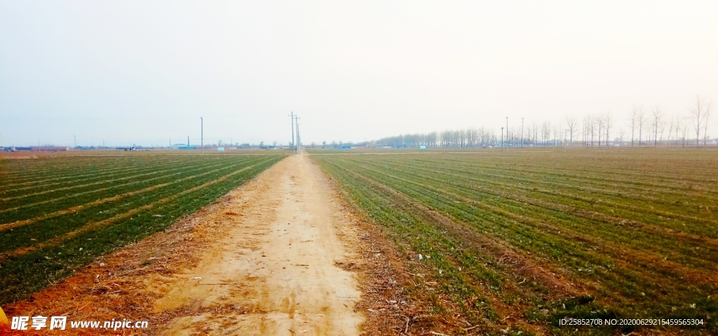 田地