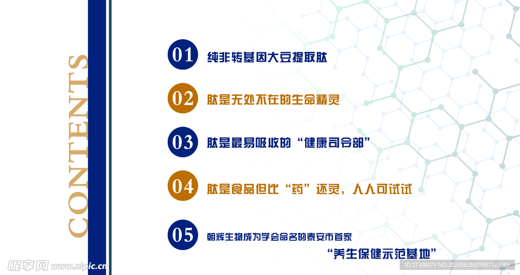 基因 分子多肽