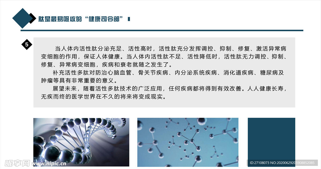 生物科技基因模板