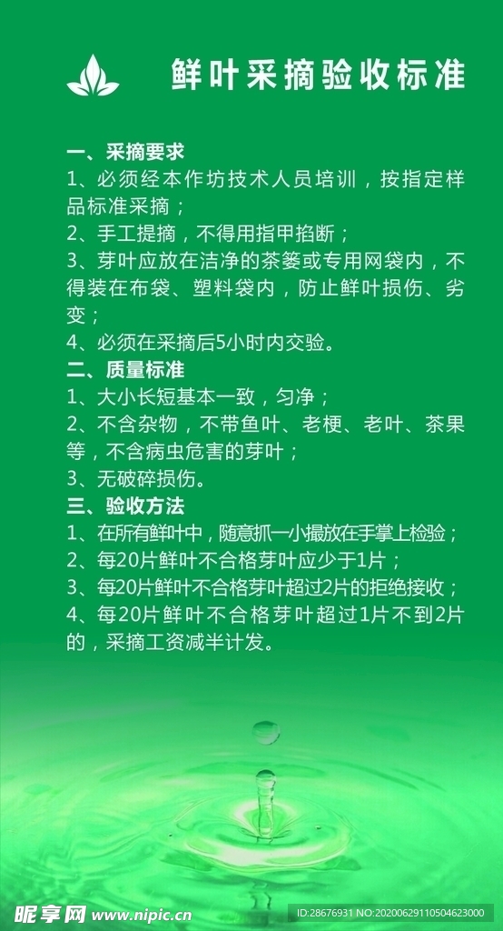 鲜叶采摘验收标准 茶叶公司展板