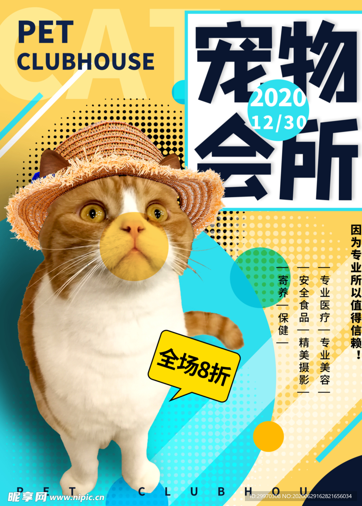 宠物海报