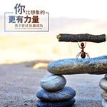 你的力量