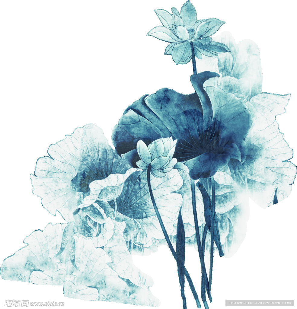 莲花
